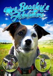 Mrs. Beasley's Adventure: A Jack Russell Terrier Tale!