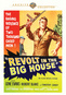 Revolt In The Big House